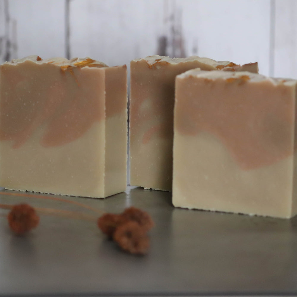 
                  
                    Bar Soap - Campfire Spice
                  
                